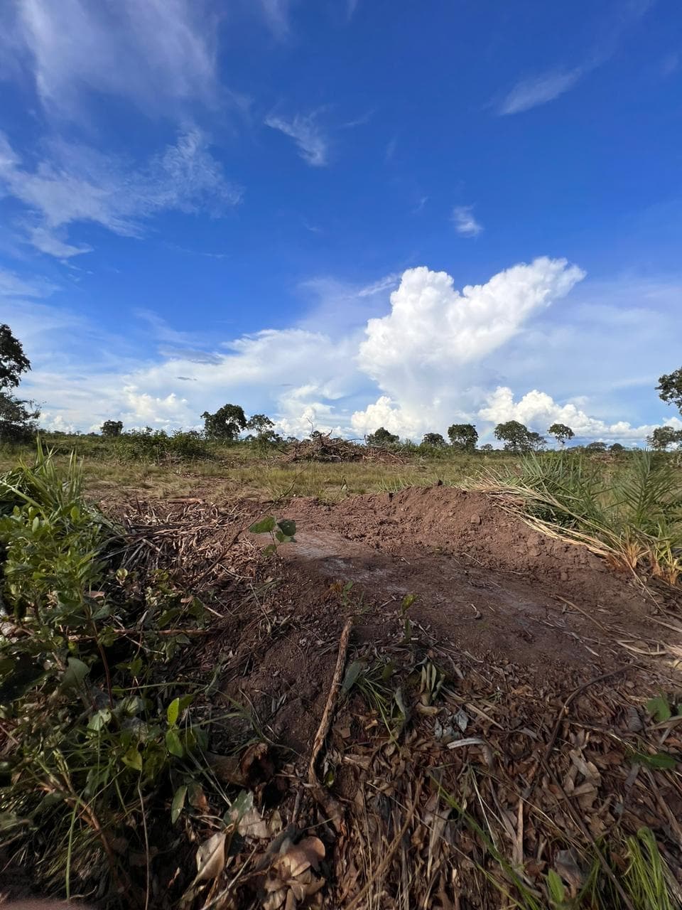 Arrendamento Cocalinho - Foto 1