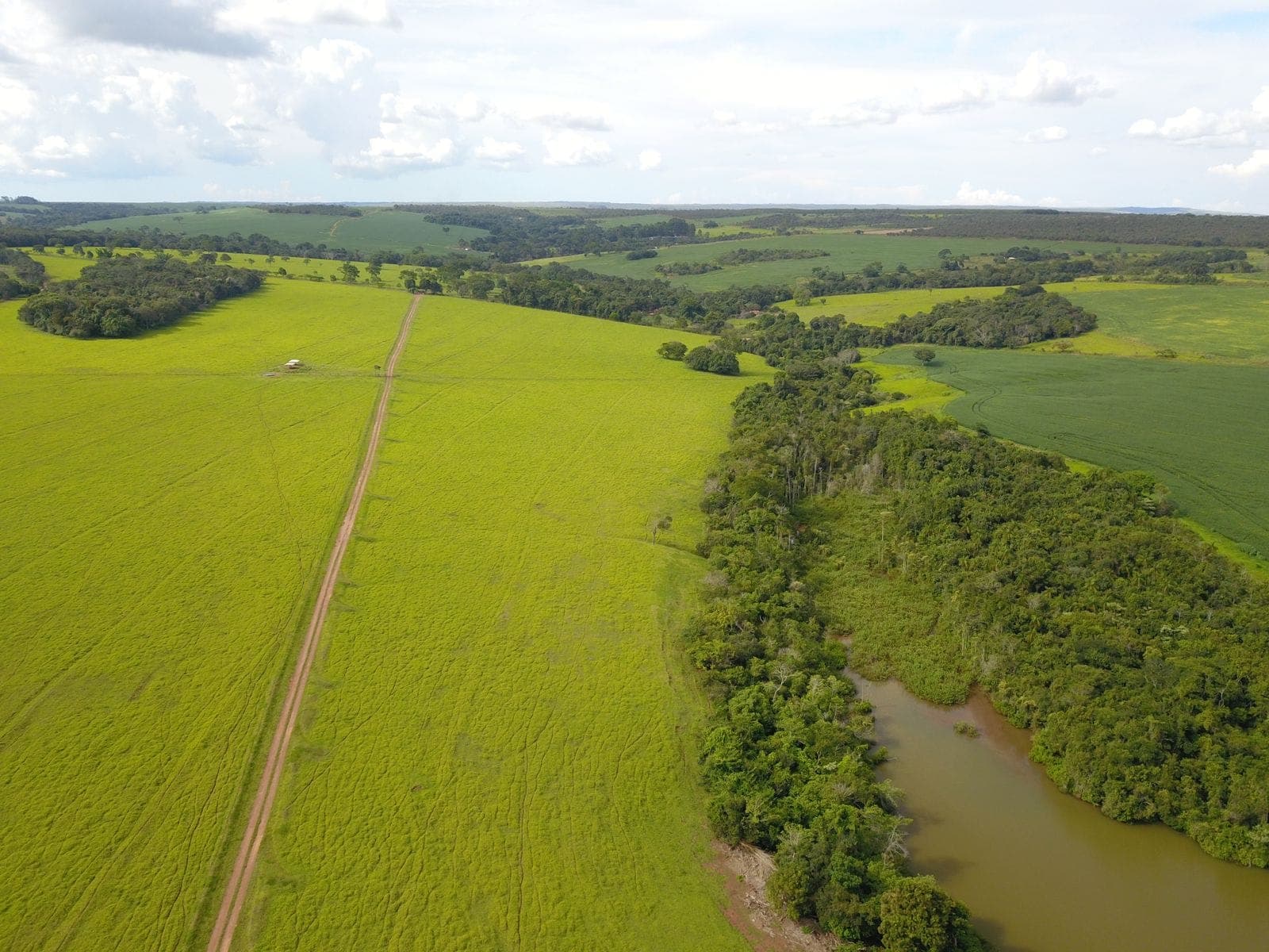 Fazenda Corumba - Foto 1